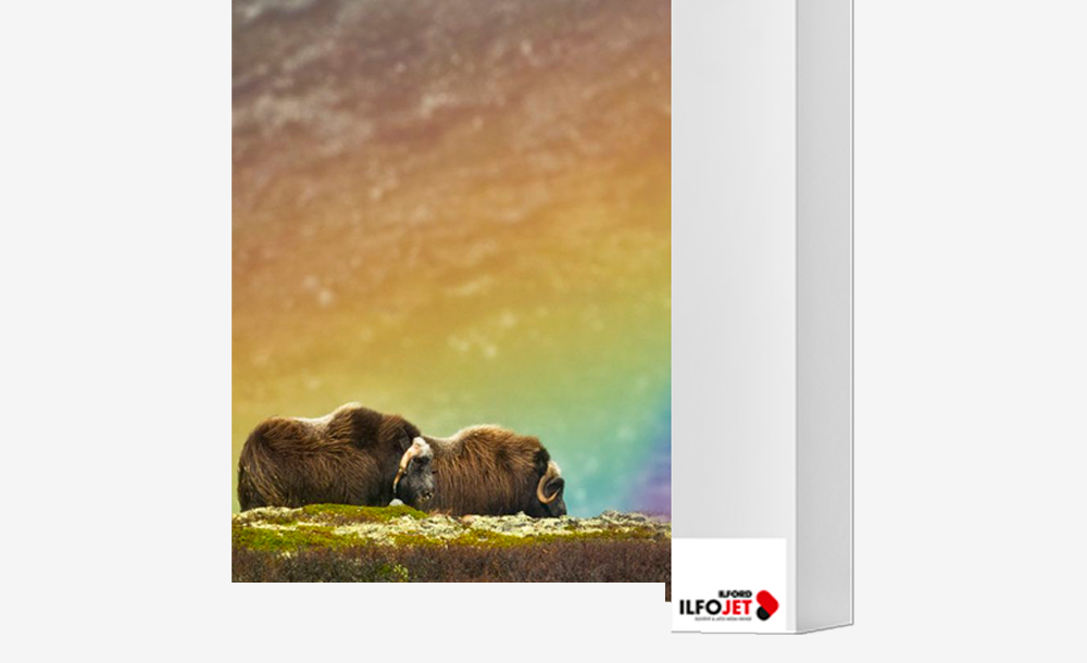 ILFORD ILFOJET Bright Satin Canvas (IJBSC20) 430 g.