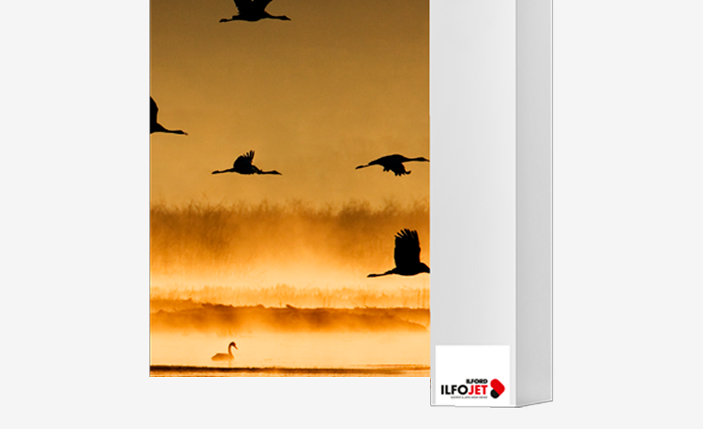 ILFORD ILFOJET Matt Canvas (IJMC13) 260 g. 