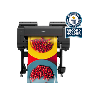 Canon Storformatprinter imagePROGRAF PRO-2100 inkl. stand SD-21 & rulleholder RU-23