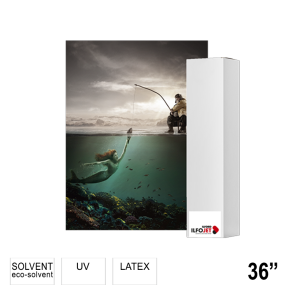 ILFORD ILFOJET Glossy Backlit Film (IJGTF6) 36