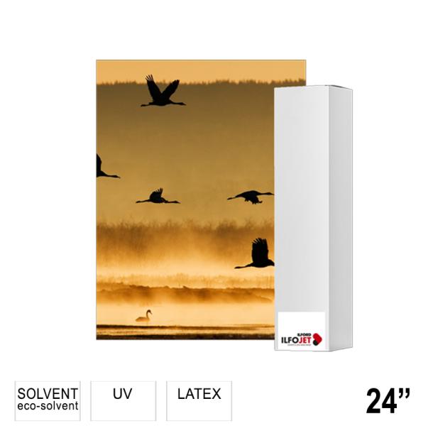 ILFORD ILFOJET Matt Canvas (IJMC13) 24" - 61cm x 30m IJ6593610031