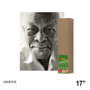 TECCO SSP240 Sepia Satin Portrait 17