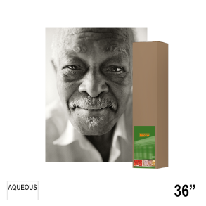 TECCO SSP240 Sepia Satin Portrait 36