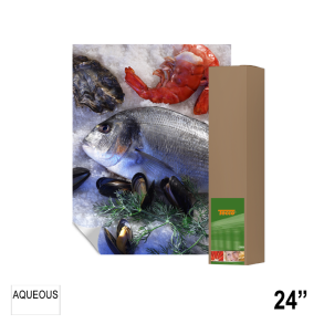 TECCO VG270SA Vinyl Glossy Self Adhesive 24